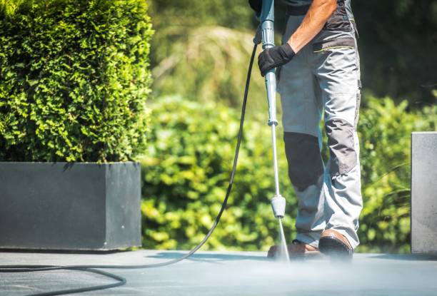 Best Gutter Cleaning  in Homestead, FL